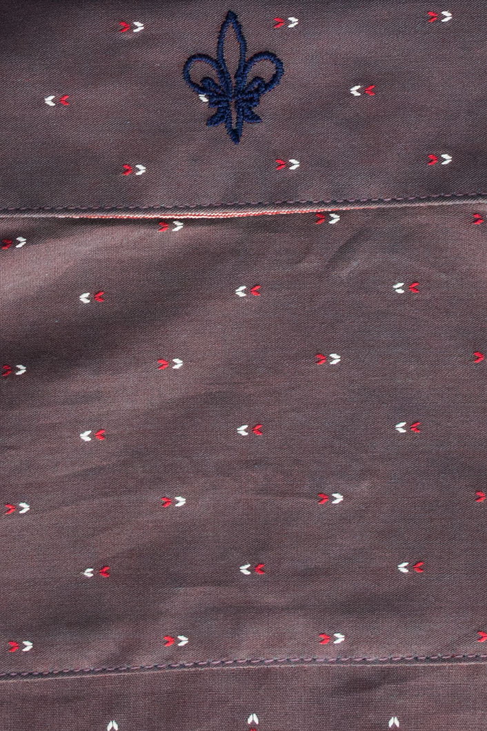 Camisas Casuales
